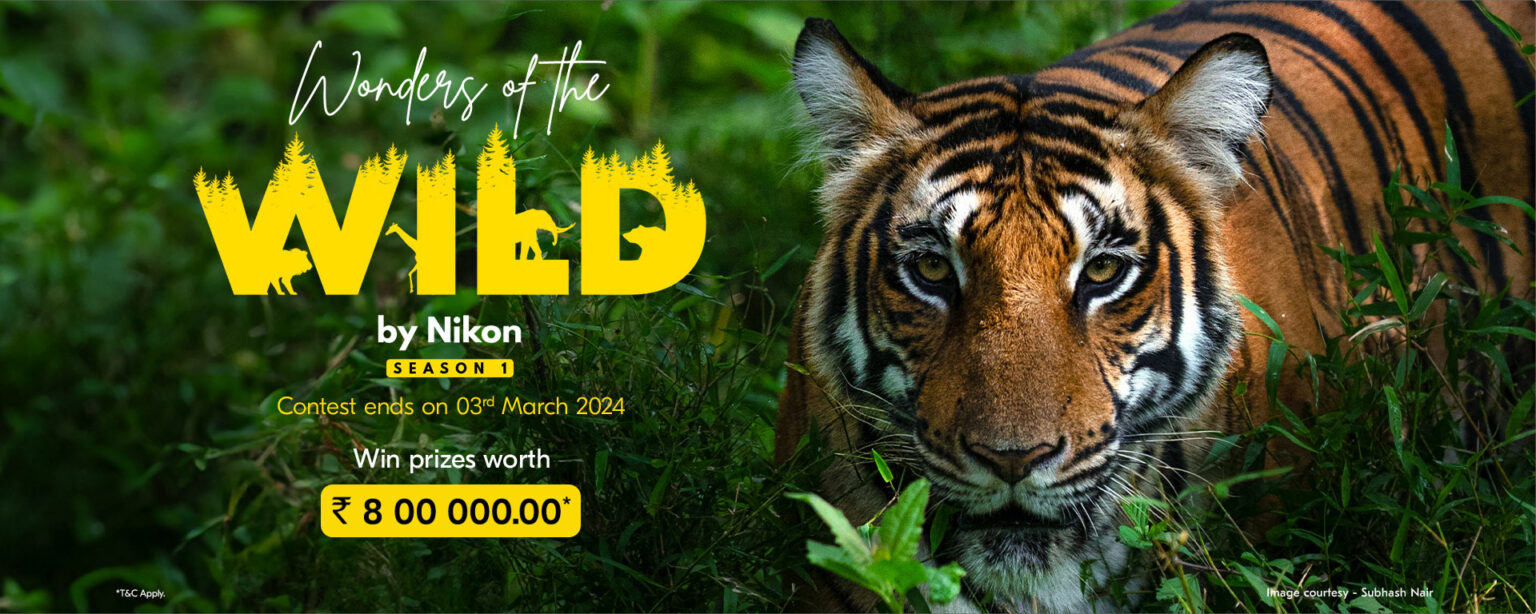 Nikon India and WWF-India Unveil ‘Wonders of the Wild’ Contest | Asian ...